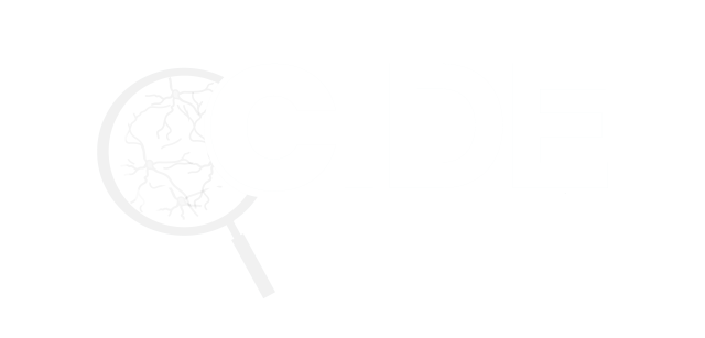 https://cide-int.org/wp-content/uploads/2023/08/LogoCentro-640x307.png